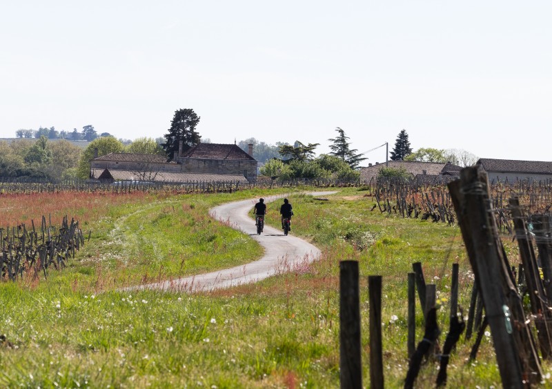 V&eacute;loce - Saint-Emilion - location de v&eacute;los veloce_global_gregoire_grange_2026-222-copie
